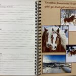 Terminplaner – Bild 3