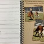 Terminplaner – Bild 2