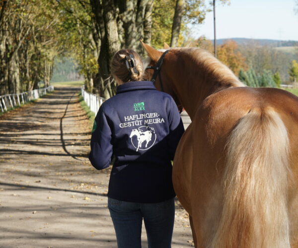 Softshell-Jacke mit Gestütslogo