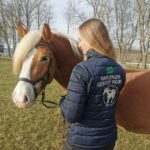 Steppjacke mit Gestütslogo – Bild 2