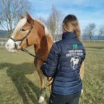 Steppjacke mit Gestütslogo