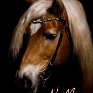 Diamond Painting- Ab sofort unser "No Mercy" als Diamond Painting.  Jetzt stöbern und losglitzern!