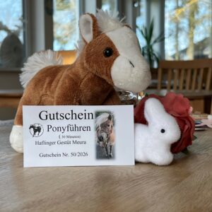 Osterangebot 5 für Kinder - Plüschpony + Gutschein für 30 Minuten Pony führen GRATIS