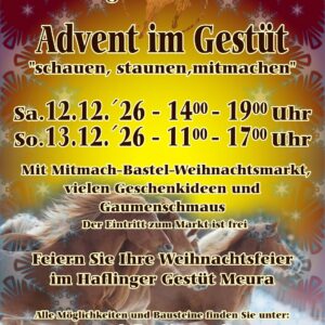 Tickets Schauprogramm Sonntag, 13.12.2026